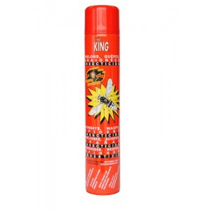 Wasp Hornet killer spray 750ml