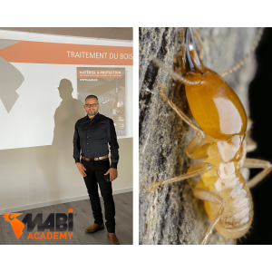 Formation traitement des...